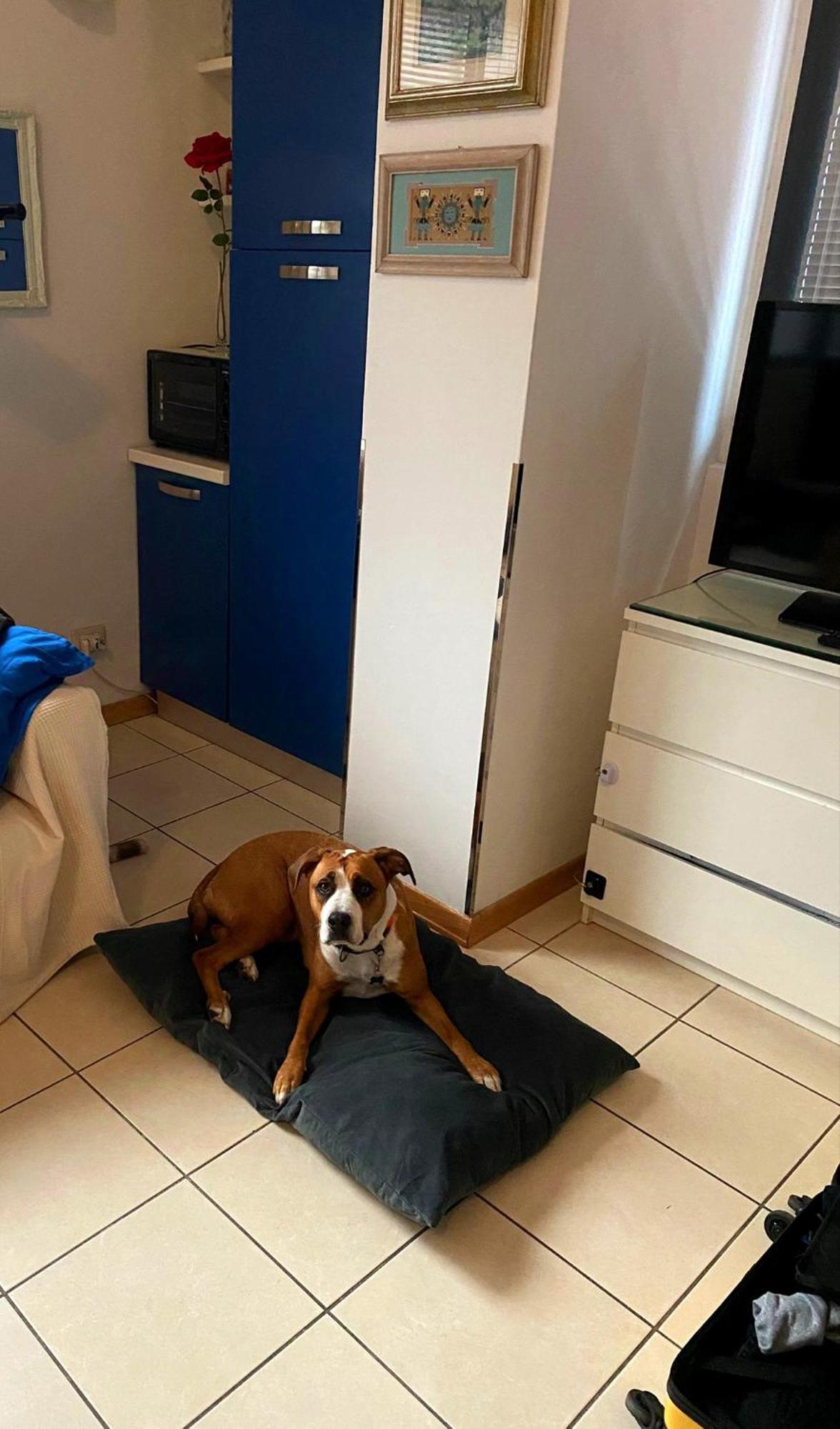 Gemme Fiorentine Apartments In Front Of The Train Station 5 Minutes From The Centre Free Parking Florence Extérieur photo